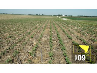 Property photo 43 - Land Auction 458+/- acres in 11 Tracts - Farmland, Woods